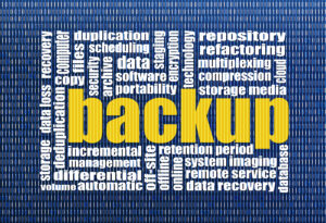 BlueGlobe Technologies camera security backup and data recovery