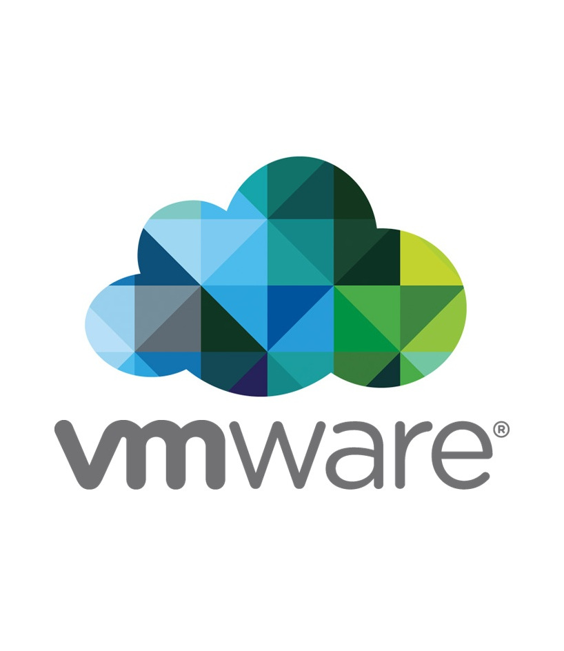 BlueGlobe Technologies camera security vmware