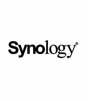 BlueGlobe Technologies camera security synology