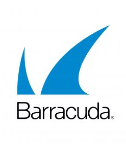 BlueGlobe Technologies camera security barracuda-networks2232