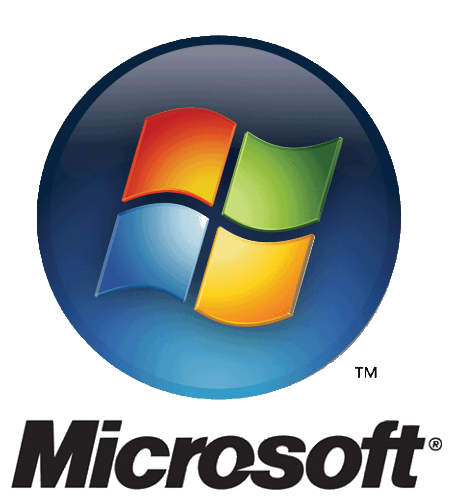 BlueGlobe Technologies camera security microsoft_logo20